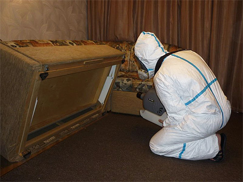 Avant l'arrivée des spécialistes de la lutte antiparasitaire, il est conseillé de préparer à l'avance l'appartement pour le traitement.