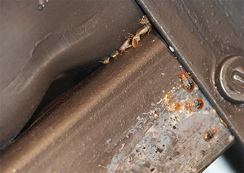 Une telle image peut être observée après un traitement de la pièce de qualité médiocre.