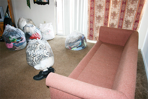 Avant l'arrivée du service antiparasitaire, il est nécessaire de préparer l'appartement pour le traitement ...