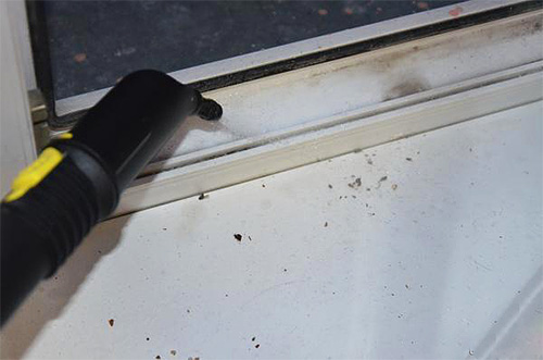 Un exemple d'utilisation d'un nettoyeur vapeur contre les punaises de lit.