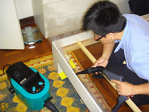 Le générateur de vapeur vous permet de détruire les nids de parasites uniquement sur des surfaces relativement accessibles.