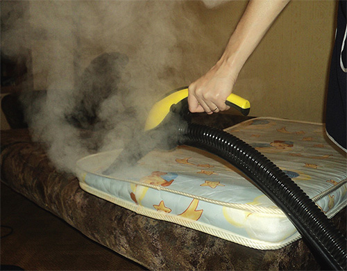À une température de vapeur d'environ 100 degrés, les insectes mourront même dans les plis profonds et endommageront le matelas.