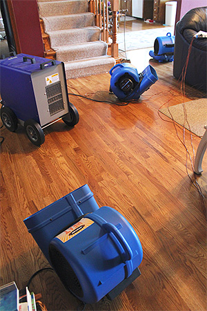 L'utilisation de puissants générateurs de chaleur permet de créer une température élevée préjudiciable aux punaises de lit dans l'appartement.