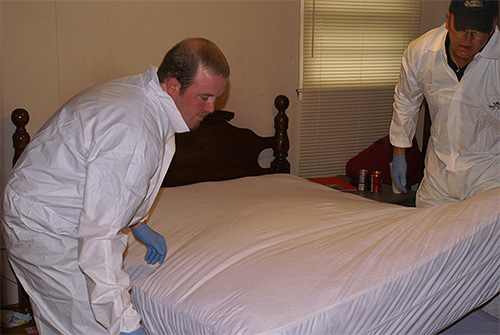 Dans les petites villes, il est généralement possible d'appeler une entreprise d'extermination de punaises de lit de la grande ville la plus proche.