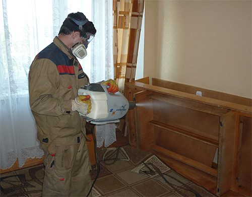 Avec un grand nombre de parasites dans la pièce et un manque d'expérience pour les traiter, il est préférable de recourir à l'aide de professionnels.