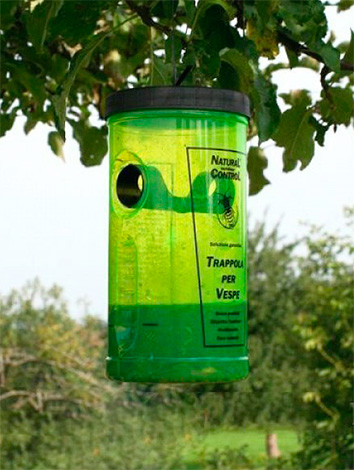 Piège à guêpes Swissinno