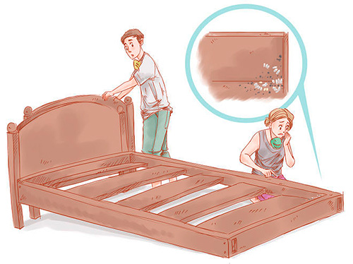 Si les punaises de lit réapparaissent peu de temps après la destruction, l'entreprise doit procéder à un retraitement sous garantie sans frais.