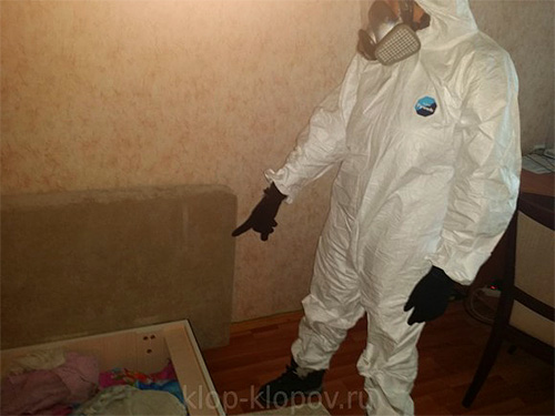 La société Dezcenter, en plus de la destruction des punaises de lit, fournit également des services pour l'élimination de divers types d'autres insectes et rongeurs.