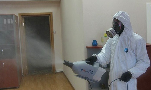 Fondamentalement, les prix des services de destruction des punaises de lit dépendent de la superficie des locaux traités.