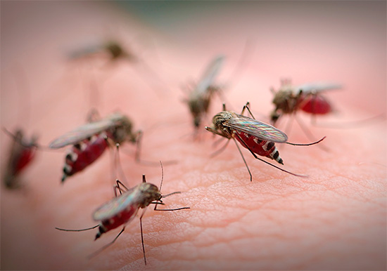 Les remèdes populaires peuvent également être utilisés pour soulager rapidement les irritations et les démangeaisons de la peau.