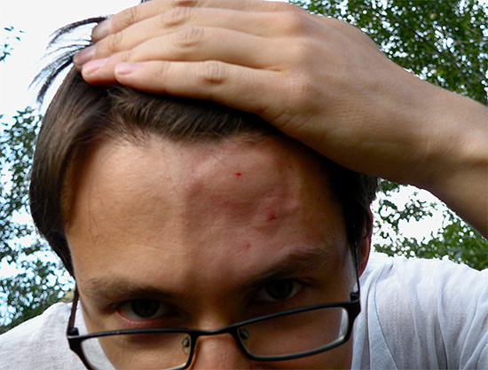 Lorsque vous vous débarrassez des guêpes, rappelez-vous toujours qu'elles peuvent vous mordre fort.