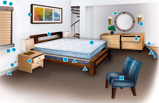 Une bouteille de Xulat suffit pour traiter les punaises de lit sur environ 40 mètres carrés