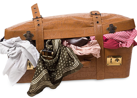 Les punaises de lit et leurs œufs peuvent entrer dans un nouvel appartement avec des objets transportés.