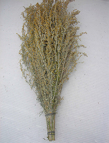 Afin d'empêcher les puces d'entrer dans l'appartement, vous pouvez utiliser des fagots d'absinthe ou de tanaisie.