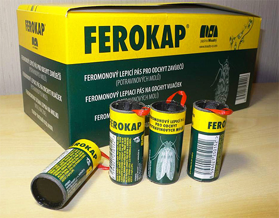 Accrocher des bandes d'insectes collantes