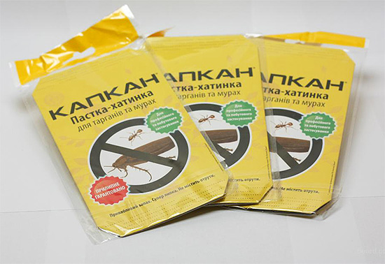 Piège-maison Kapkan.