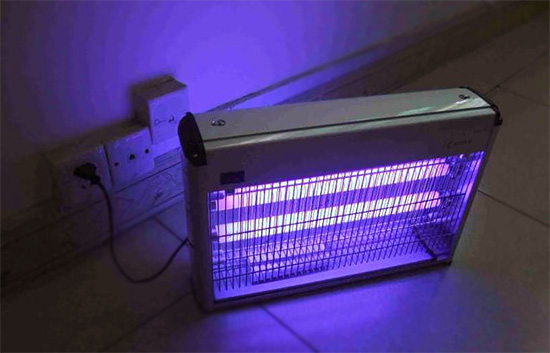 Les exterminateurs à lampe ne sont pas efficaces contre les cafards et les punaises de lit, car ces insectes évitent la lumière.