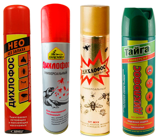 Il existe aujourd'hui un grand nombre de types différents de Dichlorvos modernes, dont la substance active n'a rien à voir avec l'ancienne version soviétique.