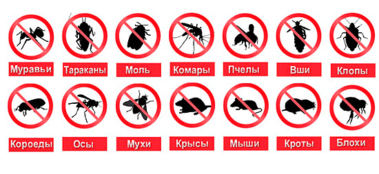 Certains fabricants de répulsifs affirment que leurs appareils repoussent efficacement tous les insectes et rongeurs.