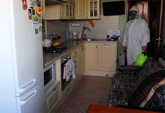 Il est utile de savoir à l'avance à quel point le médicament que le service antiparasitaire prévoit de traiter dans votre appartement est fort.