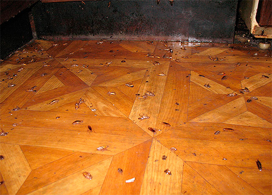 C'est l'image que l'on peut observer si un agent insecticide efficace est utilisé.