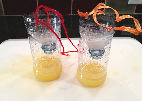 Et voici à quoi ressemblent les pièges à guêpes prêts à l'emploi - ils protègent très efficacement le rucher, surtout si vous en fabriquez suffisamment.