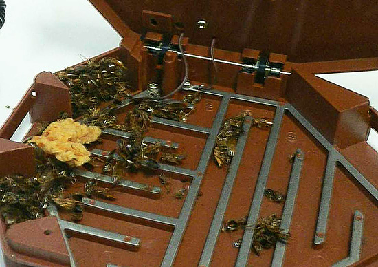 Mais les pièges domestiques électriques conviennent à la destruction des insectes rampants (cafards, fourmis, cloportes, etc.)