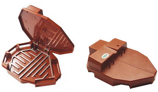 Un cafard, touchant les électrodes métalliques, meurt à la suite d'un choc électrique.