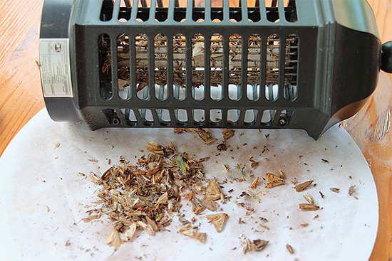 Les exterminateurs à lampe seront les plus efficaces contre les insectes volants (mites, mouches, moustiques, etc.)