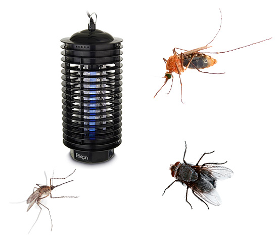 Aujourd'hui, les lampes insectifuges ultraviolettes (également appelées insecticides) gagnent en popularité - mais sont-elles vraiment aussi efficaces que les consommateurs le disent ? Découvrons-le...
