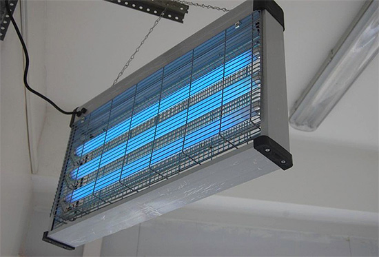 Assez souvent, des lampes anti-insectes sont achetées pour protéger les locaux des magasins et des restaurants.