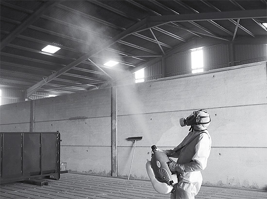 Pour traiter de grandes pièces contre les insectes, il est souvent tout simplement impossible de se passer d'appeler des professionnels.