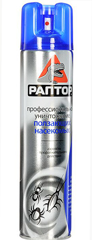 Raptor d'insectes rampants.