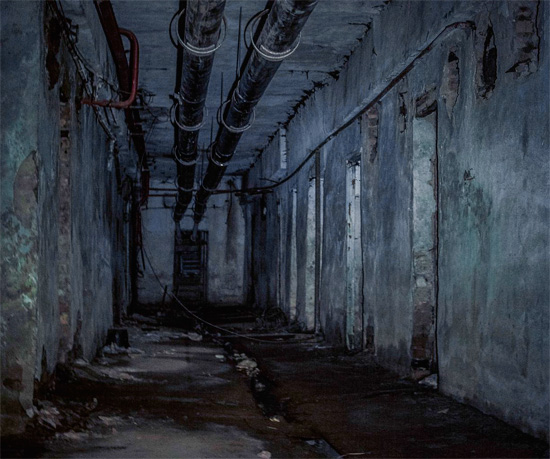 Souvent dans les égouts, les cafards sont capables de se reproduire en grand nombre...