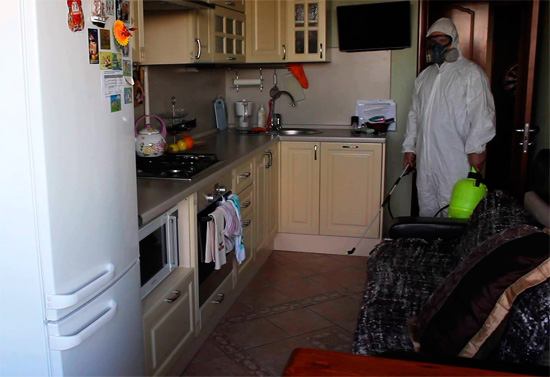 Environ 2 à 3 heures après le début de la lutte antiparasitaire, presque tous les insectes de l'appartement seront morts et les survivants mourront au cours des prochains jours.