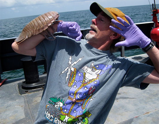 Les marins expérimentés s'amusent avec les cloportes des grands fonds, mais ils peuvent effrayer une personne qui ne connaît pas ces créatures.