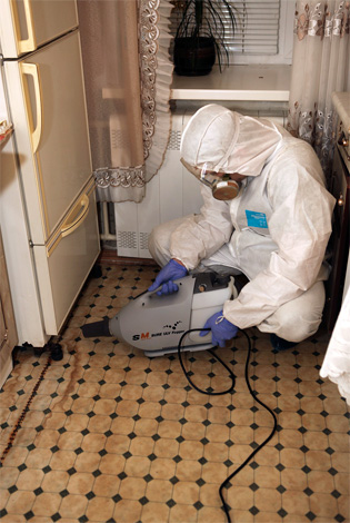 Tout d'abord, les endroits où les insectes sont les plus susceptibles d'être traités avec du brouillard froid sont traités.