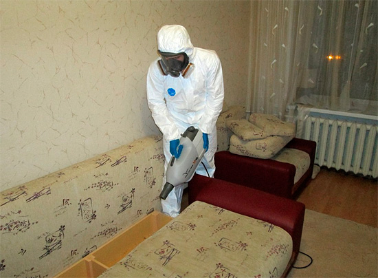 Les principales cachettes des punaises de lit sont les canapés et les lits, une attention particulière doit donc être portée à leur manipulation.