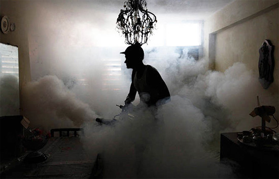 D'une manière générale, le traitement d'un appartement avec du brouillard froid et chaud donne généralement un bon effet dans les deux cas.