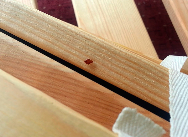 Plus le pouvoir pénétrant de l'aérosol insecticide est élevé (par exemple, la fumée), plus ce traitement sera efficace pour détruire les punaises de lit dans leurs abris.