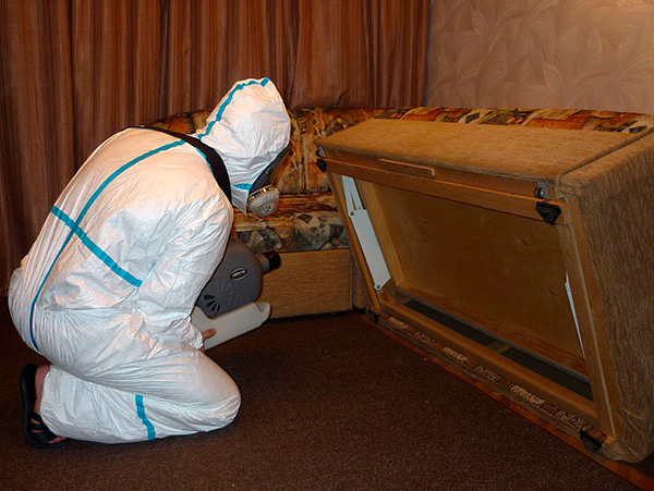 S'il n'y a aucune envie ou opportunité de combattre vous-même les insectes dans l'appartement, vous pouvez toujours appeler le service de lutte antiparasitaire.