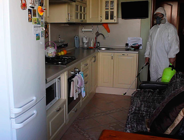 Avant d'appeler un service de lutte antiparasitaire pour traiter les locaux contre les cafards, il est utile de se familiariser d'abord avec certaines nuances importantes - nous en parlerons ...