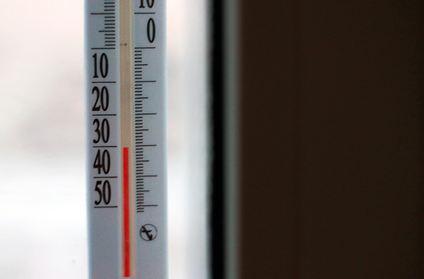 Au lieu de tuer les punaises de lit avec des poisons, elles peuvent être détruites par congélation (meubles, vêtements ou même tout l'appartement).