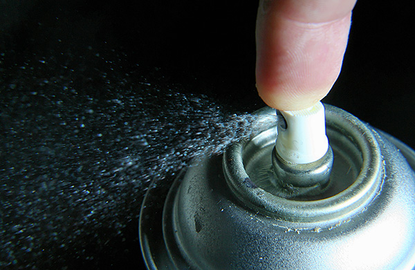 Un bon remède contre les punaises de lit doit non seulement être très efficace, mais aussi relativement sûr pour la santé humaine et animale.