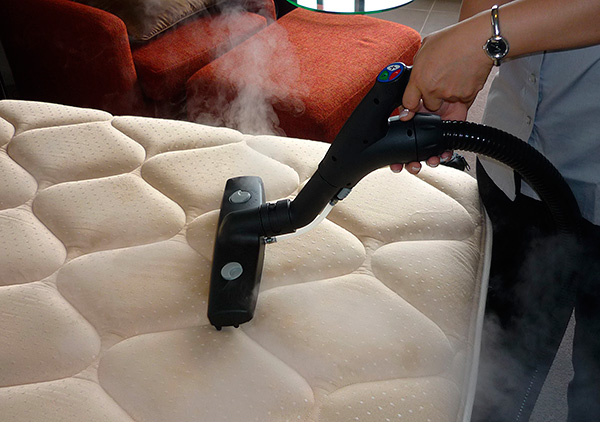 Pour détruire les punaises de lit et leurs œufs dans le matelas, vous pouvez le traiter à la vapeur chaude, par exemple à l'aide d'un cuiseur vapeur.