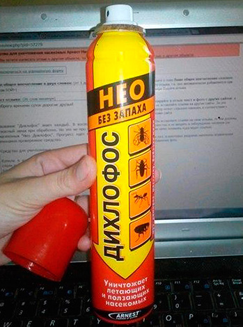 Dichlorvos Neo - contrairement à l'ancien Dichlorvos soviétique, il n'a pas d'odeur désagréable.