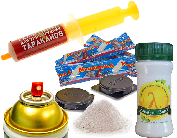 Aujourd'hui, il existe de nombreux agents insecticides, il est seulement important de choisir le plus efficace d'entre eux.