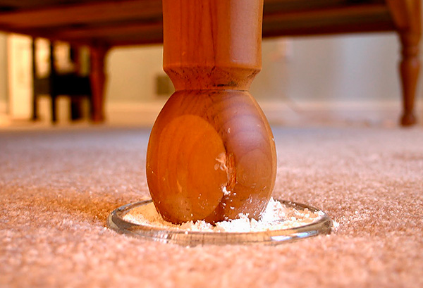 Un exemple d'utilisation de poudre insecticide pour empêcher la reproduction des punaises de lit dans un appartement.