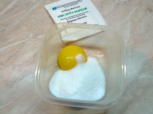 Un mélange d'acide borique et de jaune d'œuf peut servir d'appât empoisonné pour se débarrasser efficacement des poux de bois dans un appartement.