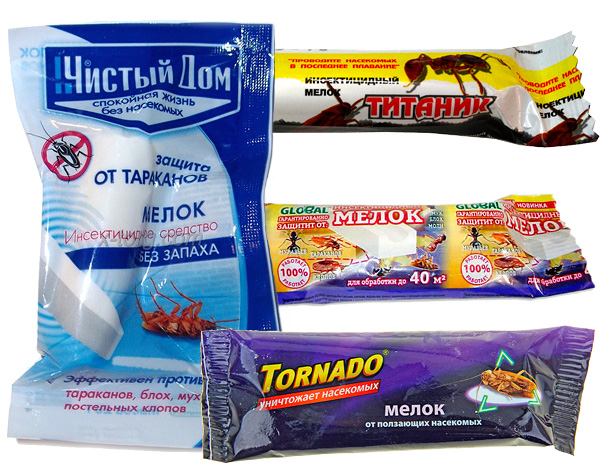 Analogues de craie de cafards Masha